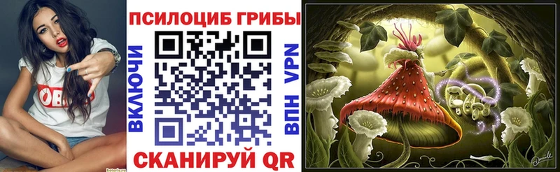 Псилоцибиновые грибы GOLDEN TEACHER  Магас 
